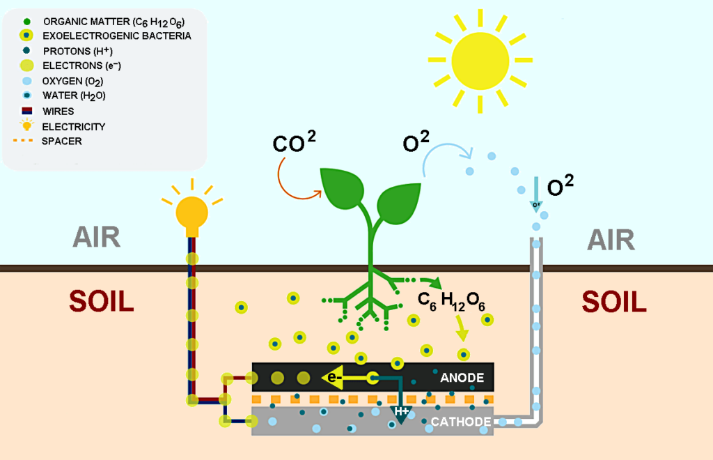 Listrik Gratis Dari Tanaman (Plant Powered Light) 1